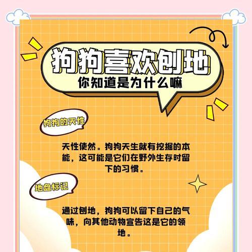 为什么狗狗会不停地叫唤？（探究狗狗叫唤的原因及解决方法）