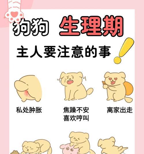 狗狗交配时间的重要性及强行分开的后果（了解狗狗的生理需求，避免强行分开带来的伤害）
