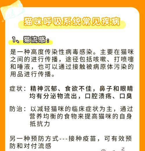 猫能传染给人的疾病有哪些？（了解猫与人之间的潜在健康风险）