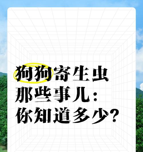 狗寄生虫的体外生存期有多久？（揭秘狗寄生虫的生存能力与传播方式）