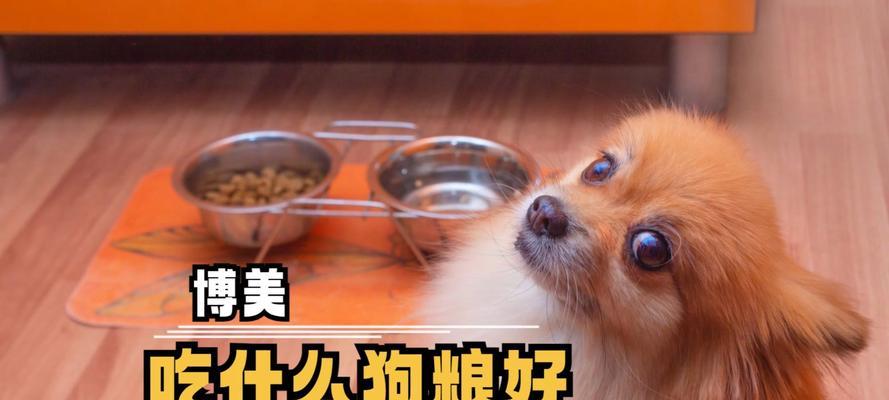 博美幼犬的营养需求与补充方法（为你的宝贝提供全面的营养保障，健康成长）