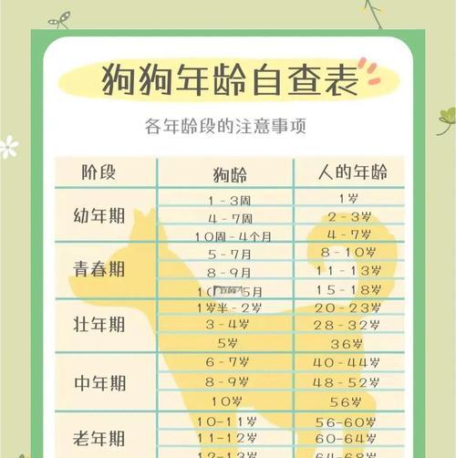 如何通过部位判断狗狗的年龄？（掌握这些部位，轻松判断狗狗的年龄）