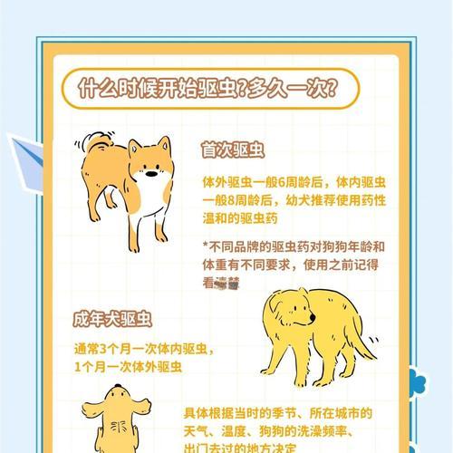 狗狗驱虫后多久才能打疫苗？（了解狗狗的驱虫和疫苗接种时间安排，保障它的健康成长。）