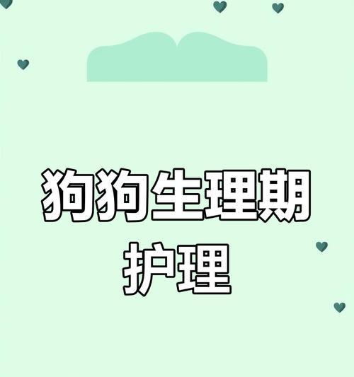 狗狗护理指南（了解狗狗的需求，学会正确护理）