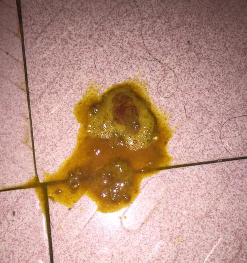 如何通过药物快速治疗以狗拉水？（从饮食、运动和药物三个方面调理，快速恢复以狗的健康。）