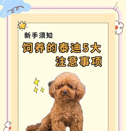泰迪狗狗美容的持续时间究竟有多久？（探索泰迪狗狗美容的效果持续时间，给你全面的了解。）