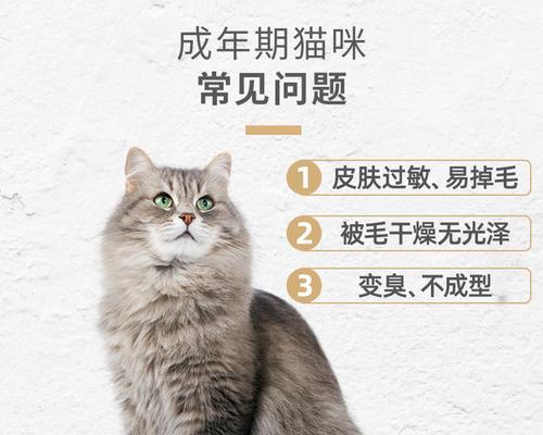 一袋10kg猫粮能喂养猫咪多久？（解密猫粮的寿命及如何合理喂养猫咪）