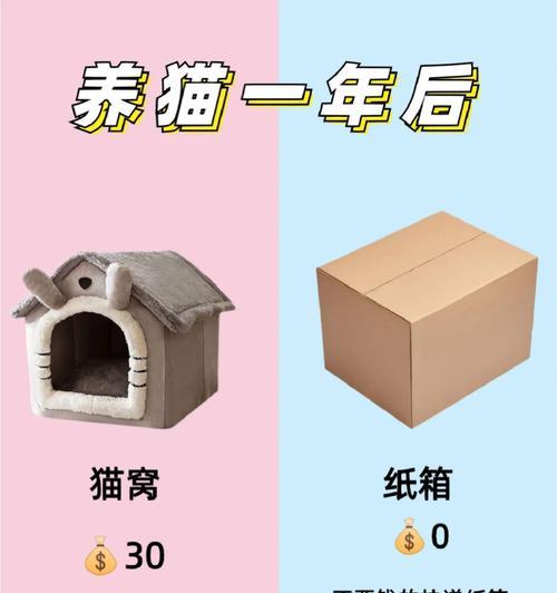 猫咪去世后何时适合养新猫？（探寻新猫伴侣的最佳时机）