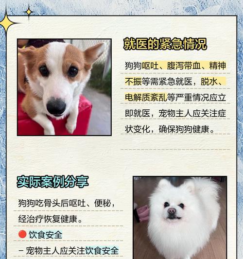 狗狗骨头汤的最佳煮制时间（探索骨头汤的烹饪时长与效果）
