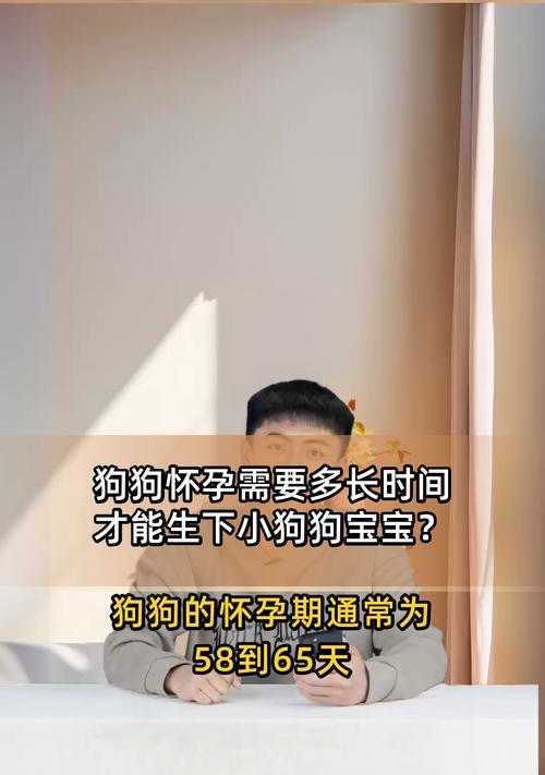 狗狗怀孕多久？探寻母犬受孕到分娩的全过程（了解狗狗怀孕的时间线及其特征，提前做好准备）