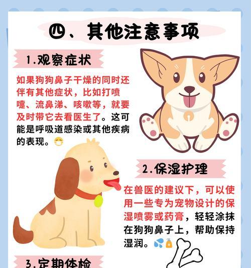 狗狗焦虫症（揭秘狗狗焦虫症的潜伏期及其关键因素）