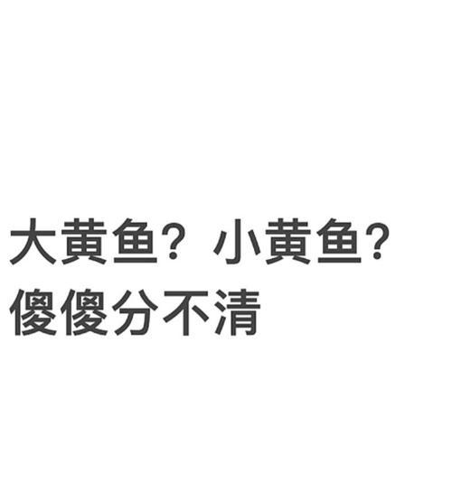 比熊与泰迪的区别及如何辨认——别再买错了（一文解析比熊和泰迪的不同特征，助你明辨真伪）