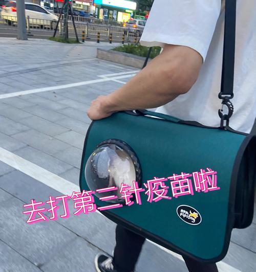 内驱后多久打疫苗，保护健康无忧（内驱后的最佳疫苗接种时机和注意事项）