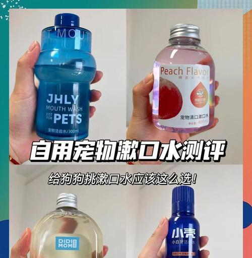 揭秘狗狗口臭的五大原因（了解狗狗口臭的主要原因，让你更好地照顾宠物）