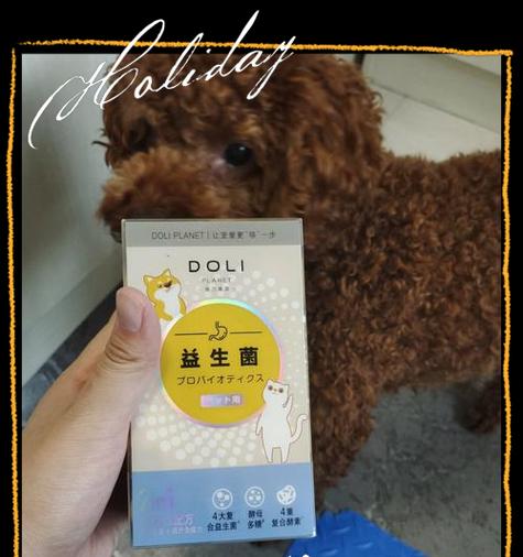 狗用益生菌多久见效的关键因素（探讨狗使用益生菌的时间要求和注意事项）