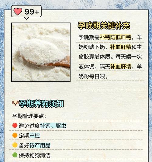 母狗产后进食时间及注意事项