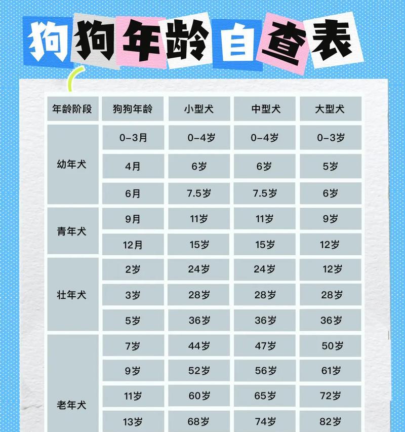 狗狗的年龄如何计算？（了解狗狗年龄计算的秘密，让我们看看狗狗是多大了吧！）