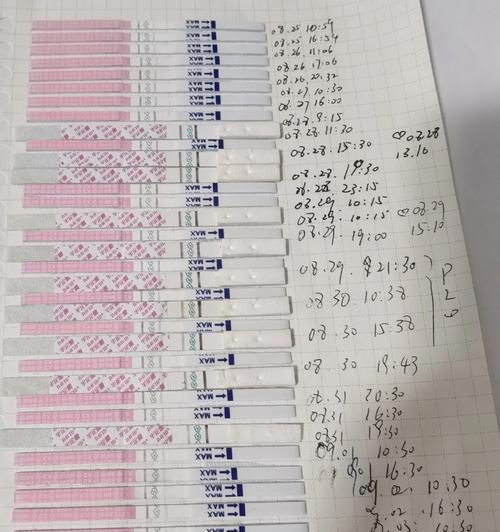 母狗生产后的排卵时间（了解母狗生产后的排卵周期与繁殖计划）