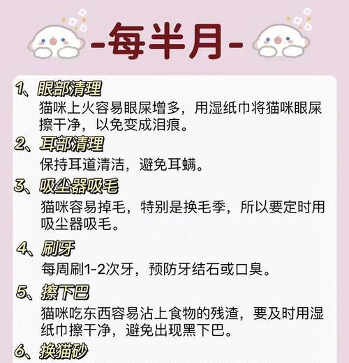 如何帮助猫清洁屁眼（解决猫无法自己舔屁眼的问题）