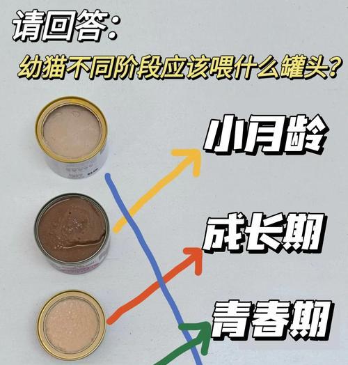 幼猫的成长发育——从新生小猫咪到健康活泼的猫咪（探索幼猫成长的奥秘，帮助它们健康成长）