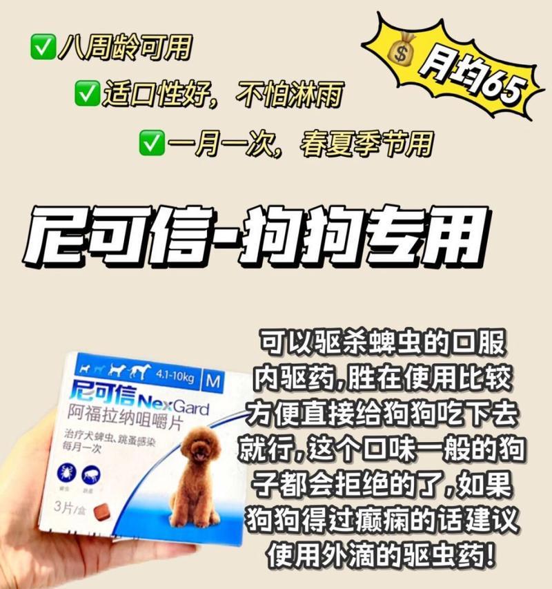 狗狗驱虫药的选择与使用技巧（宠物犬常用驱虫药种类及注意事项）