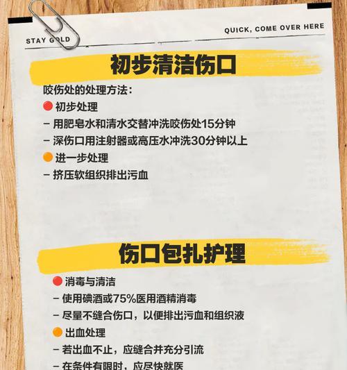 被狗狗咬伤后的康复时间及注意事项（探究狗狗咬伤后伤口康复所需的时间和必要措施）