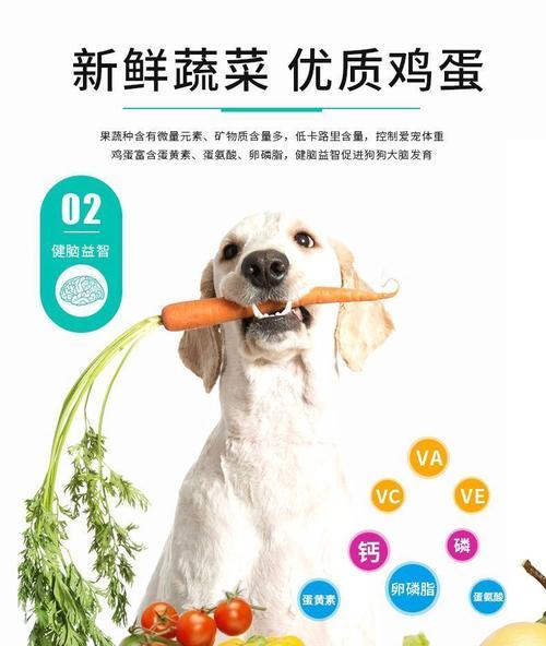 泰迪喂食鸡蛋黄的最佳频率（饲养泰迪需注意的）