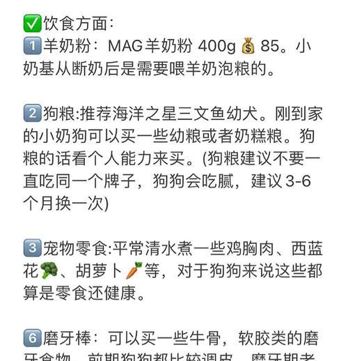 饲养柯基的开销和注意事项（了解柯基的成本，养得安心又经济）