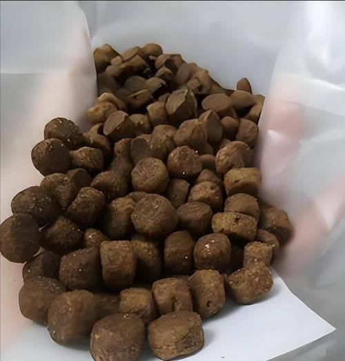 如何给2个月大的泰迪适量的蛋黄？（掌握喂食蛋黄的技巧，让泰迪健康成长）