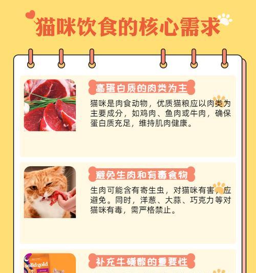 小猫喂养指南（从饮食入手，让小猫健康成长）