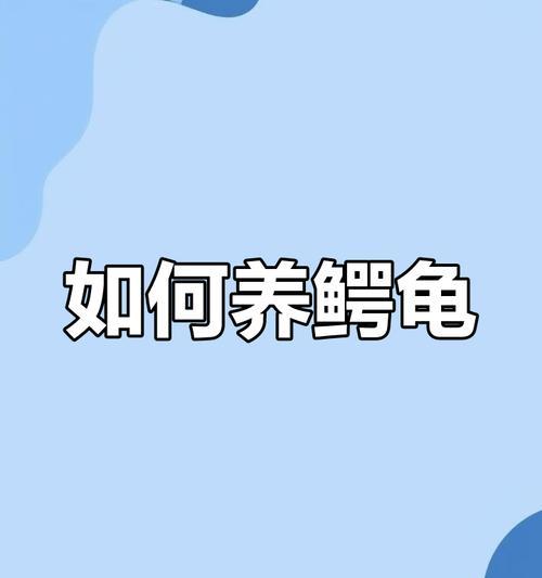 北美拟鳄龟饲养技巧（宠物爱好者必知的北美拟鳄龟养护要点）