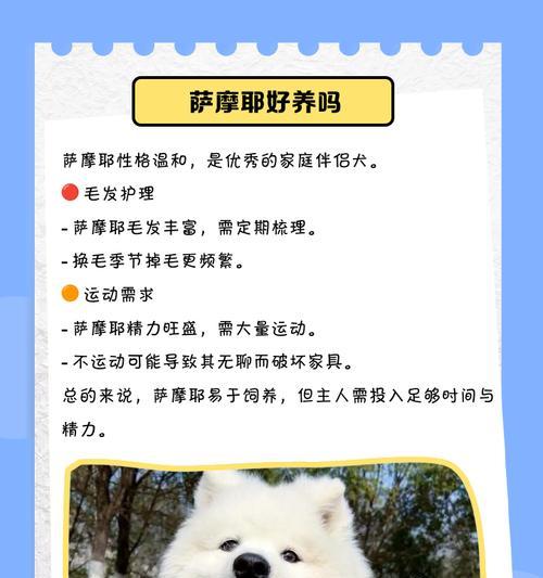 探寻萨摩耶的魅力（从外貌到性格，解读萨摩耶的迷人之处）