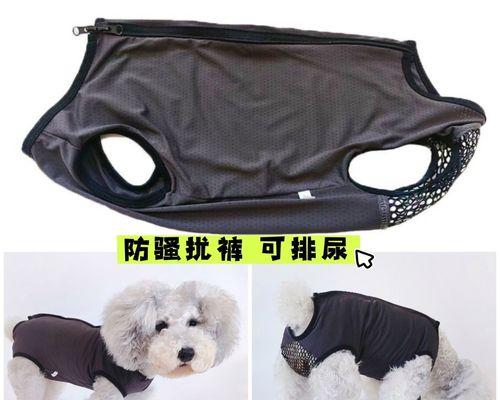 泰迪犬大便稀的原因和解决方法（探究泰迪犬大便稀的原因及其解决方法，让您的宠物拥有健康的肠道）