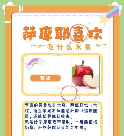 萨摩耶狗狗的健康饮食秘诀（给萨摩耶吃狗粮，也不要忘了给它吃这些水果，让它身体倍儿棒！）