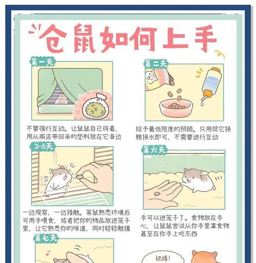 仓鼠适合食用葡萄糖吗？（葡萄糖对仓鼠的影响及喂养建议）
