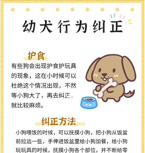 如何应对幼犬总想咬东西的问题（帮助你的幼犬摆脱咬东西的习惯）