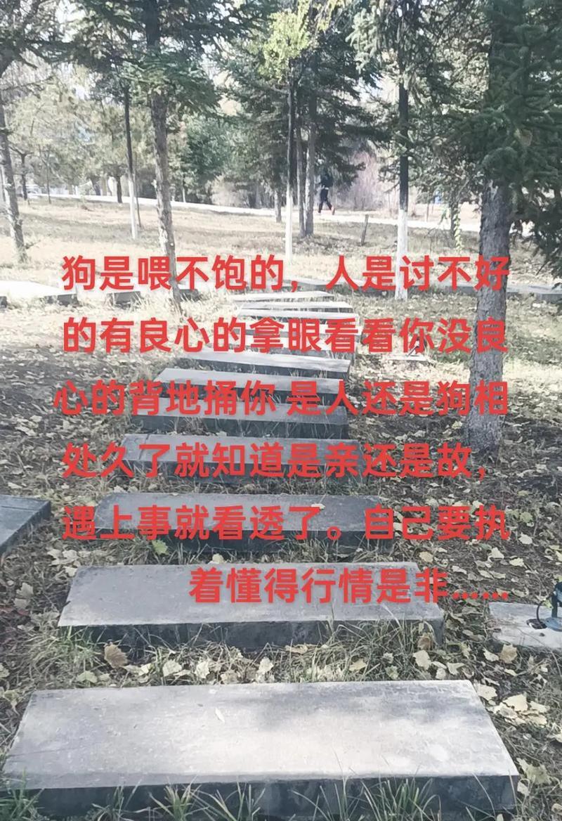 以你这人好狗，是什么意思？（探究“以你这人好狗”背后的意义和内涵）