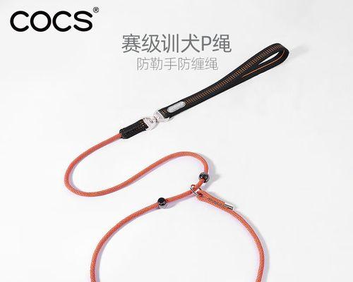 让边牧适应牵引绳的方法（训练技巧和注意事项）