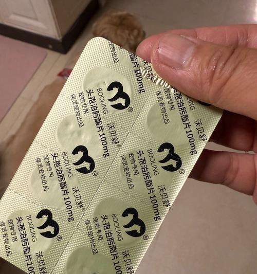 狗吃消炎药会有什么影响？（了解狗吃消炎药的风险和注意事项）