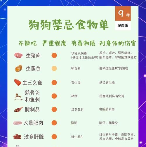 边牧不同年龄阶段的狗粮喂食指南（了解边牧不同年龄阶段的狗粮需求，让你的宠物健康成长）