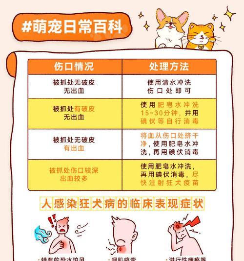 狗狗可能死亡的疾病大揭秘！（了解狗狗生命最大的威胁是什么，预防和治疗的关键在哪里？）