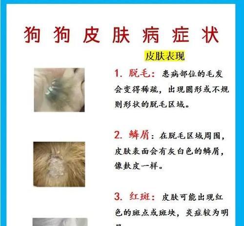 犬瘟病(以怎样的方式观察犬瘟病的症状和迹象?)