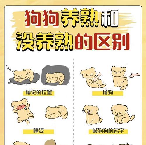 狗狗为什么不长个子?(探究狗狗身高受限的原因与解决方法)