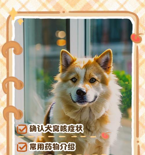 小狗干咳吃什么药管用（为您解答小狗干咳的药物选择问题）