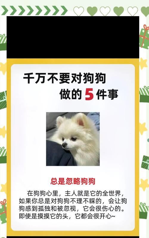 法斗狗的攻击性行为问题剖析（以法斗为代表的犬种为何对其他狗不友好）