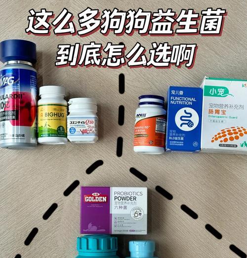 为什么这些情况下你需要给狗狗喂益生菌?(了解如何提供良好的肠道健康保护)