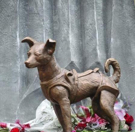 宠物狗离世后,他们的灵魂到达何处?(探索狗狗去世后的彼岸之旅)