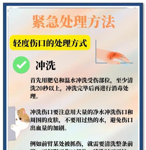 猫咪烫伤的急救与护理(快速处理猫咪烫伤,防止感染和减轻疼痛)