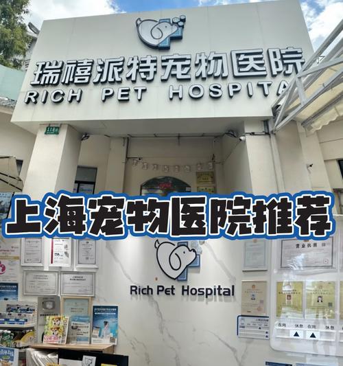 探访上海宠物店（对服务质量、宠物健康与品种选择进行调查）