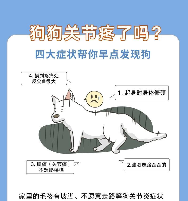 如何增加小狗的食欲？（让你的小狗健康成长，充满食欲的秘诀！）